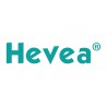 Hevea